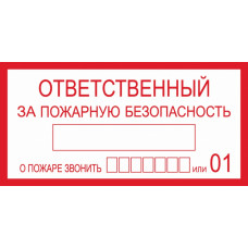 Знак Ответственный за пожарную безопасность B03 (100х200мм